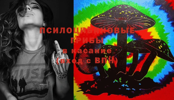 mdma Белокуриха