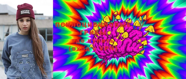 mdma Белокуриха