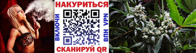 Конопля MAZAR  Курчалой 